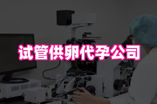 国际助孕网站 1